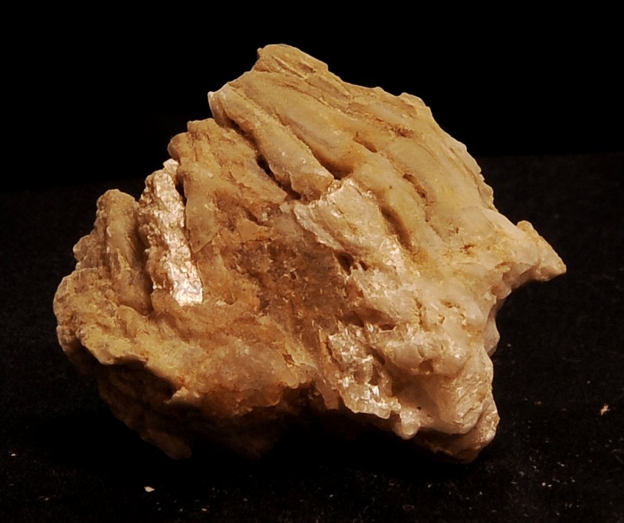 Yeso
3,7 x 3,7 cm
(Autor: angel picazo monroy)