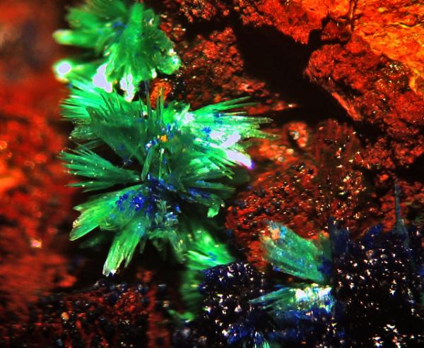 Clinotirolita
Encuadre 6 mm.
(Autor: Rafa Muñoz(mineralvarado))