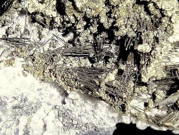 Millerita y Calcopirita
Campo de visión 1,5 cm.
(Autor: Antonio P. López)