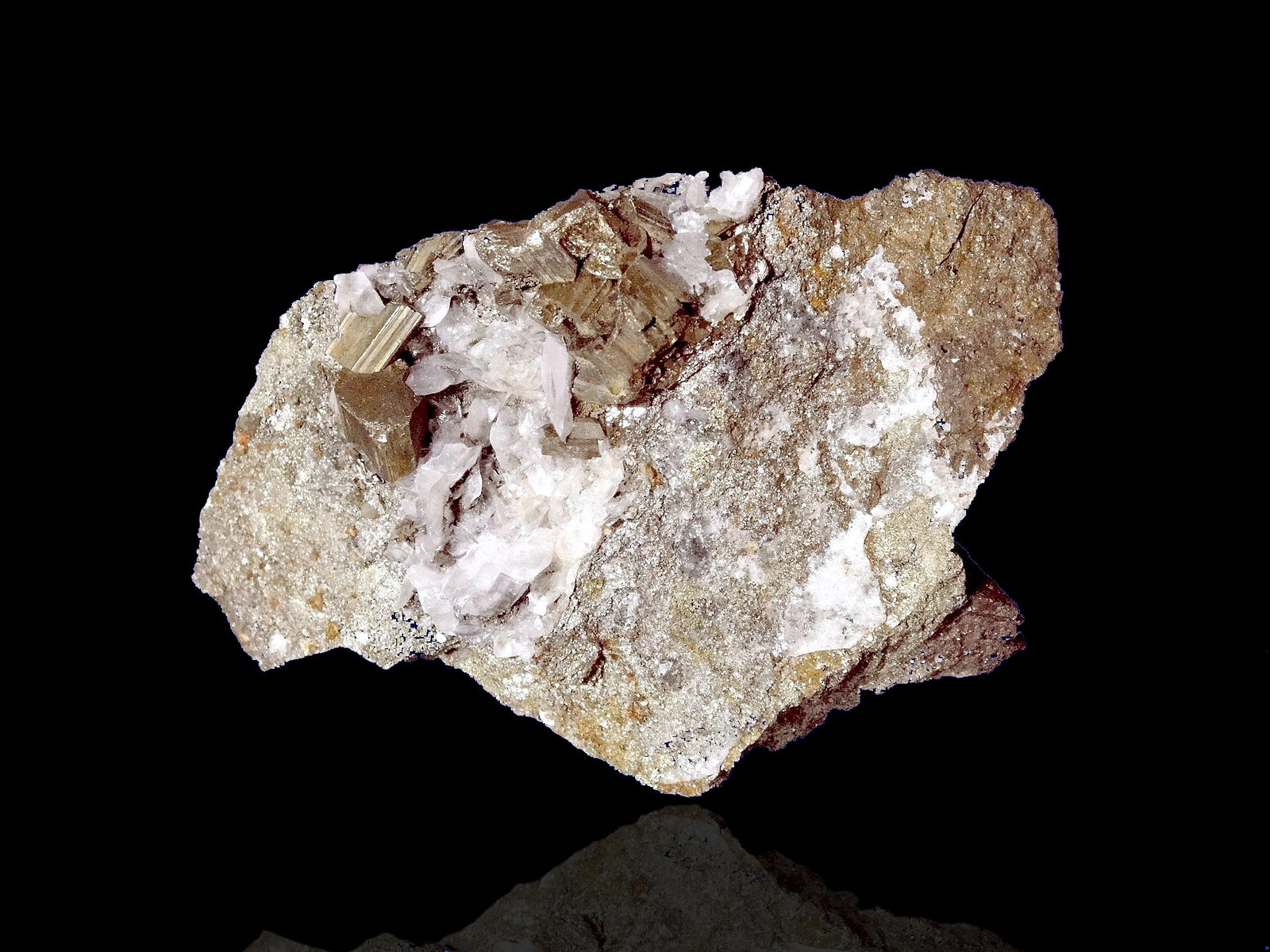 Cubanita
9 x 6 cm.
(Autor: Antonio P. López)