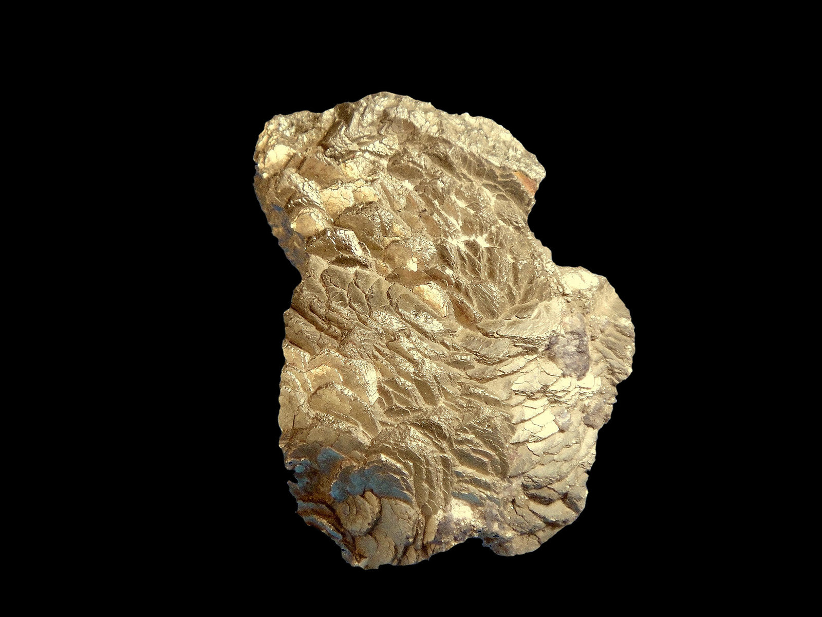 Pirita
4 x 3 cm.
(Autor: Antonio P. López)