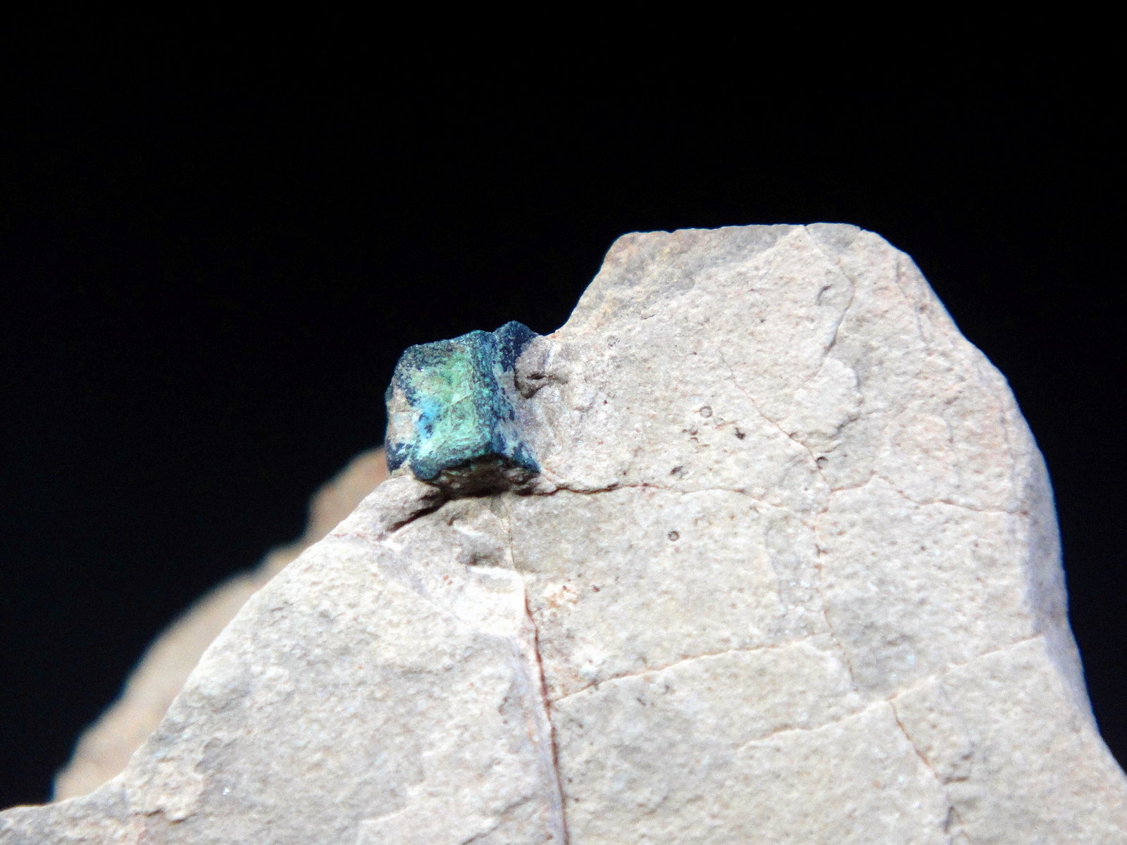 Digenita
Cristal de 5 mm.
(Autor: Antonio P. López)