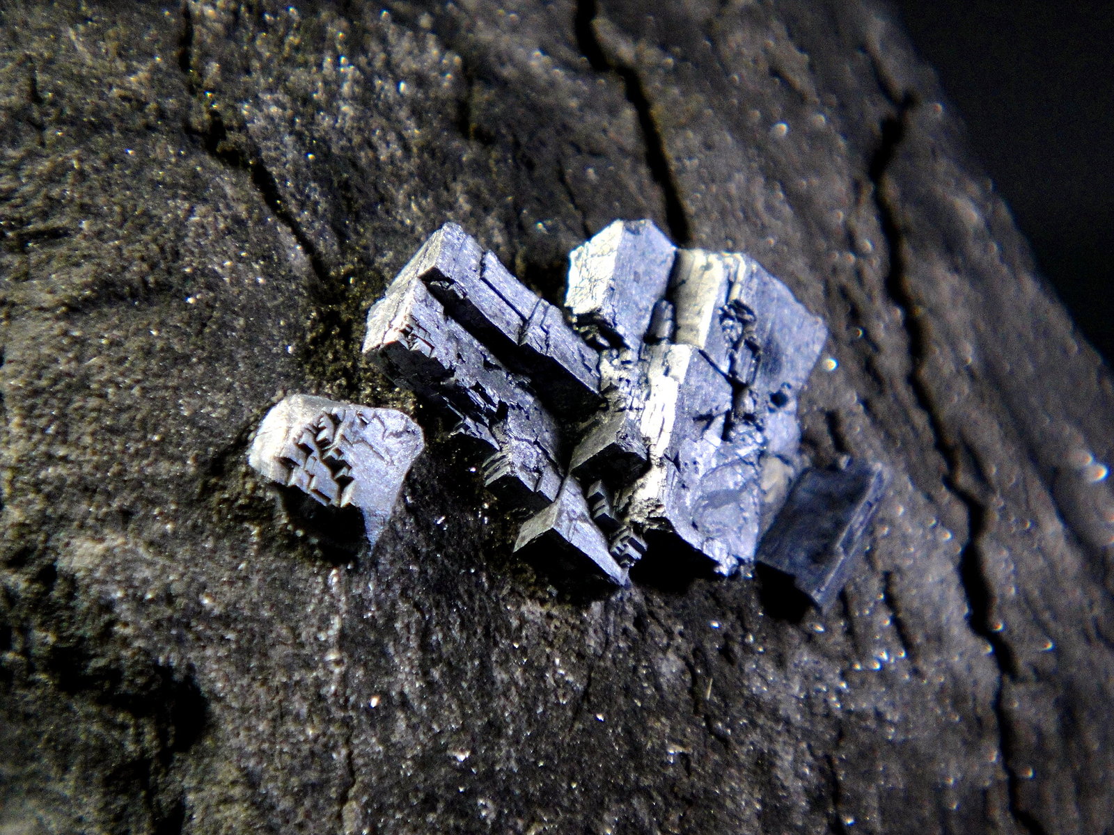 Galena
Campo de visión 4 cm.
(Autor: Antonio P. López)