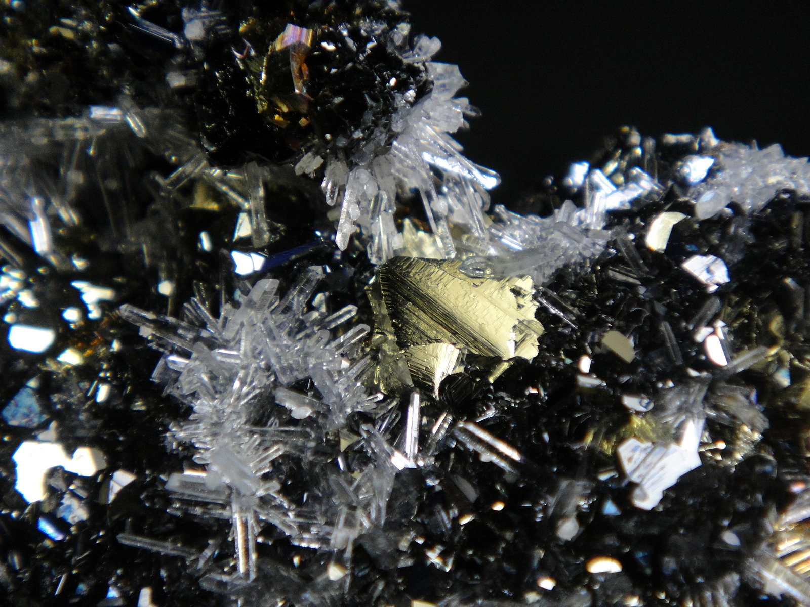 Calcopirita, Cuarzo, Esfalerita
Campo de visión 4 cm.
(Autor: Antonio P. López)