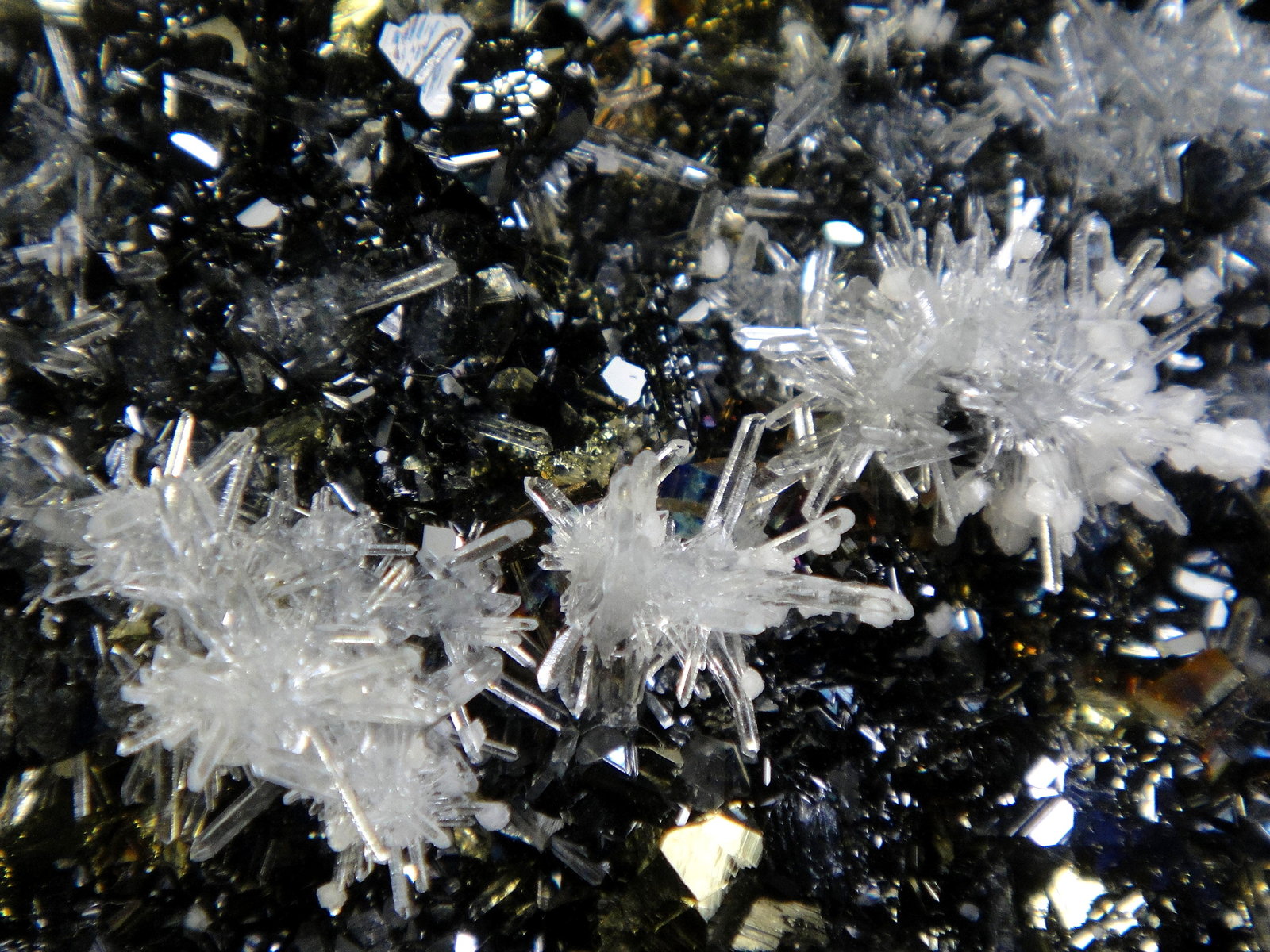 Esfalerita, Cuarzo
Campo de visión 4 cm.
(Autor: Antonio P. López)