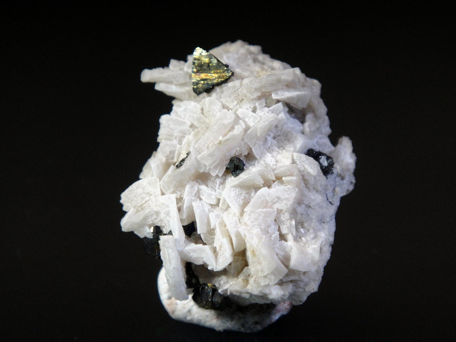 Calcopirita y Dolomita
4 x 3 cm.
(Autor: Antonio P. López)