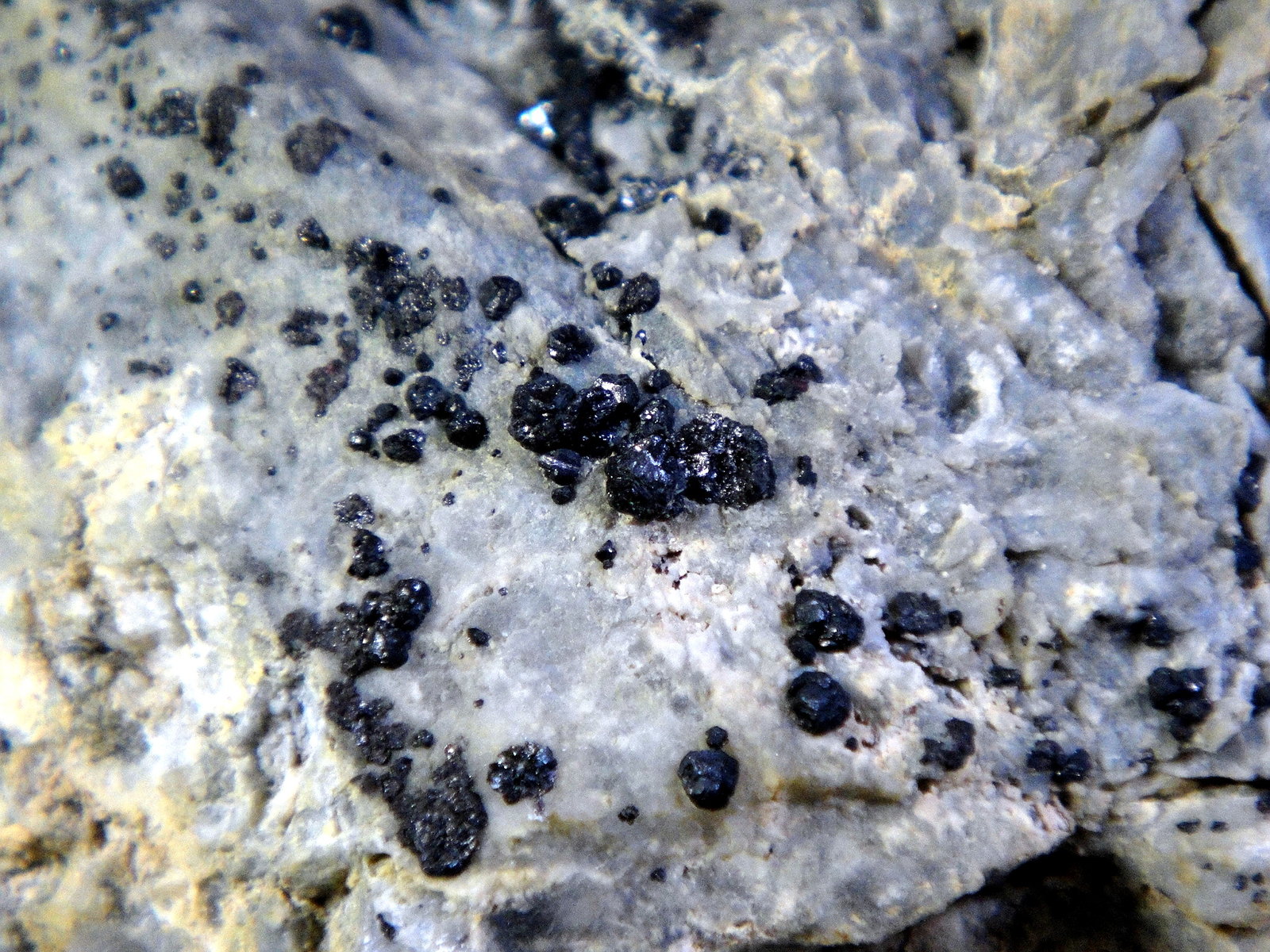 Hipercinabrio
Campo de visión 3 cm.
(Autor: Antonio P. López)