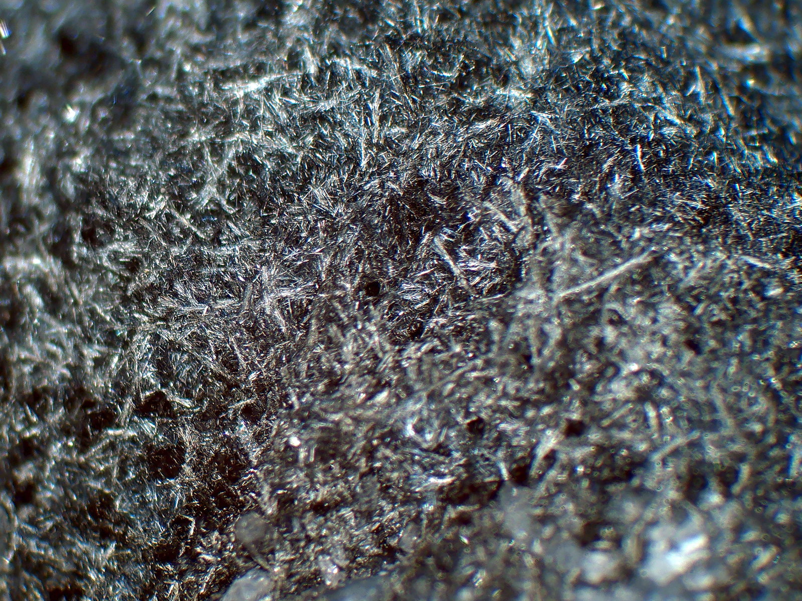 Estibina
Campo de visión 1 cm.
(Autor: Antonio P. López)
