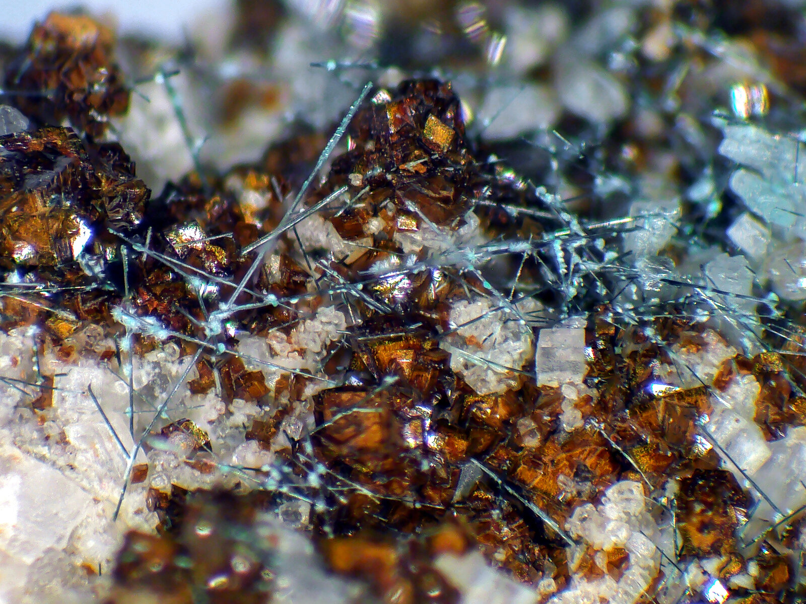 Emplectita, Bismutita, Calcita, Siderita
Tannenbaum Mine, Antonsthal, Breitenbrunn/Erzgebirge, Erzgebirgskreis, Saxony/Sachsen, Germany
Campo de visión 3 mm.
(Autor: Antonio P. López)