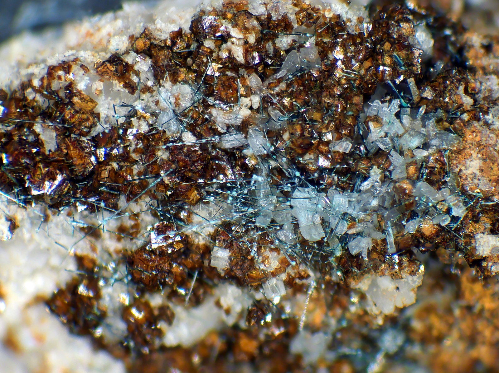Emplectita, Bismutita, Calcita, Siderita
Campo de visión 6 mm.
(Autor: Antonio P. López)