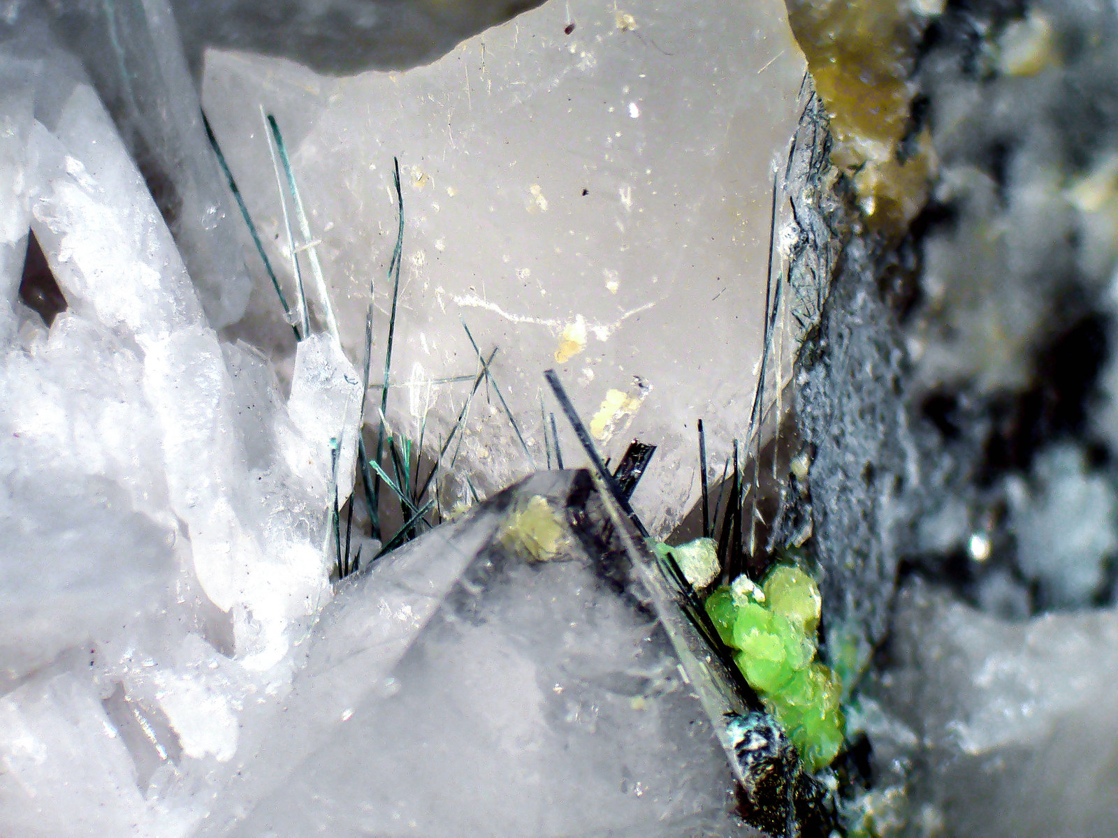 Bismutinita, Moscovita, Cuarzo
Campo de visión 2 cm.
(Autor: Antonio P. López)
