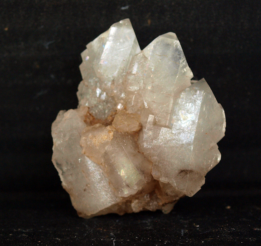 Celestina
4.5 x 3.5 cm
(Autor: Pedro Antonio)
