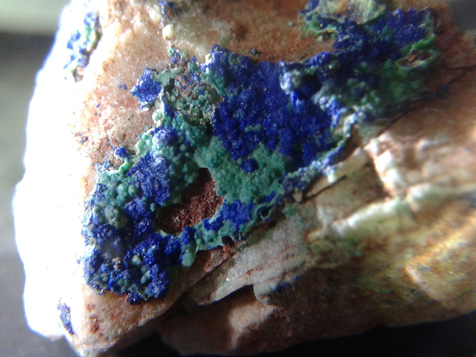 Azurita con Zincolivenita
encuadre de 2,5 cm
(Autor: srm13151)