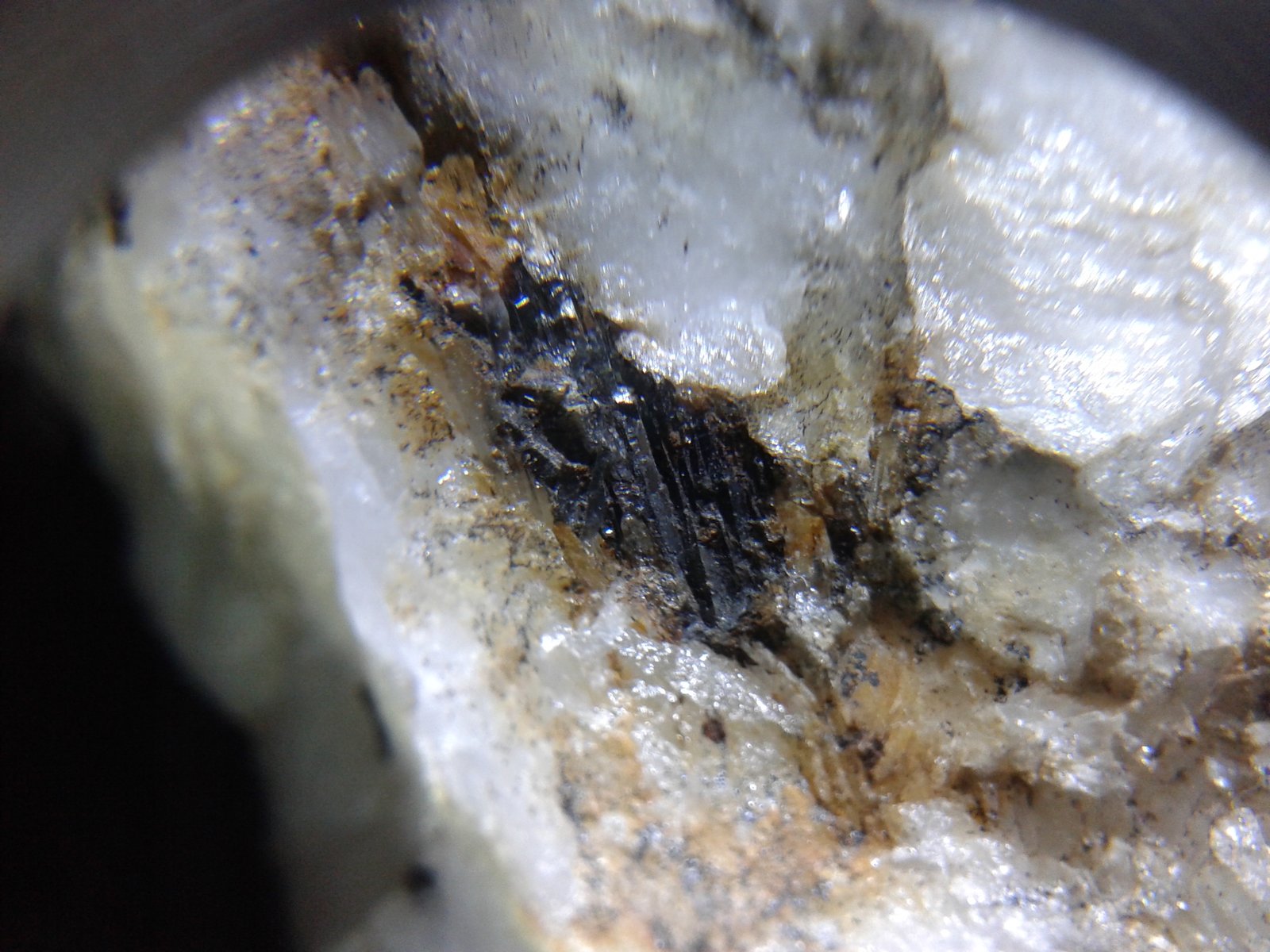 Ferberita (Grupo Wolframita)
cristal de 1cm
(Autor: srm13151)