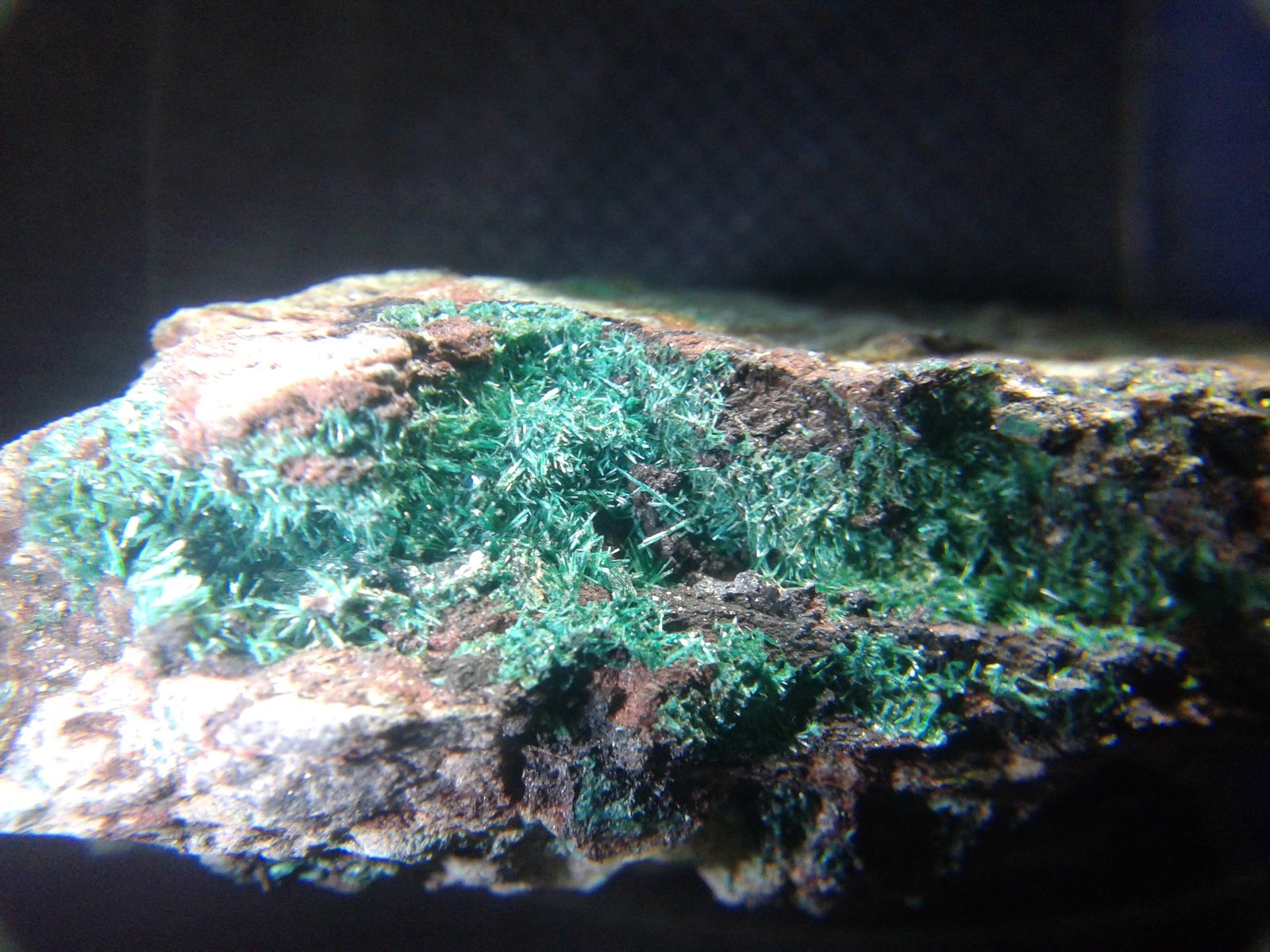 Brochantita
zona de cristales de 3cm
(Autor: srm13151)