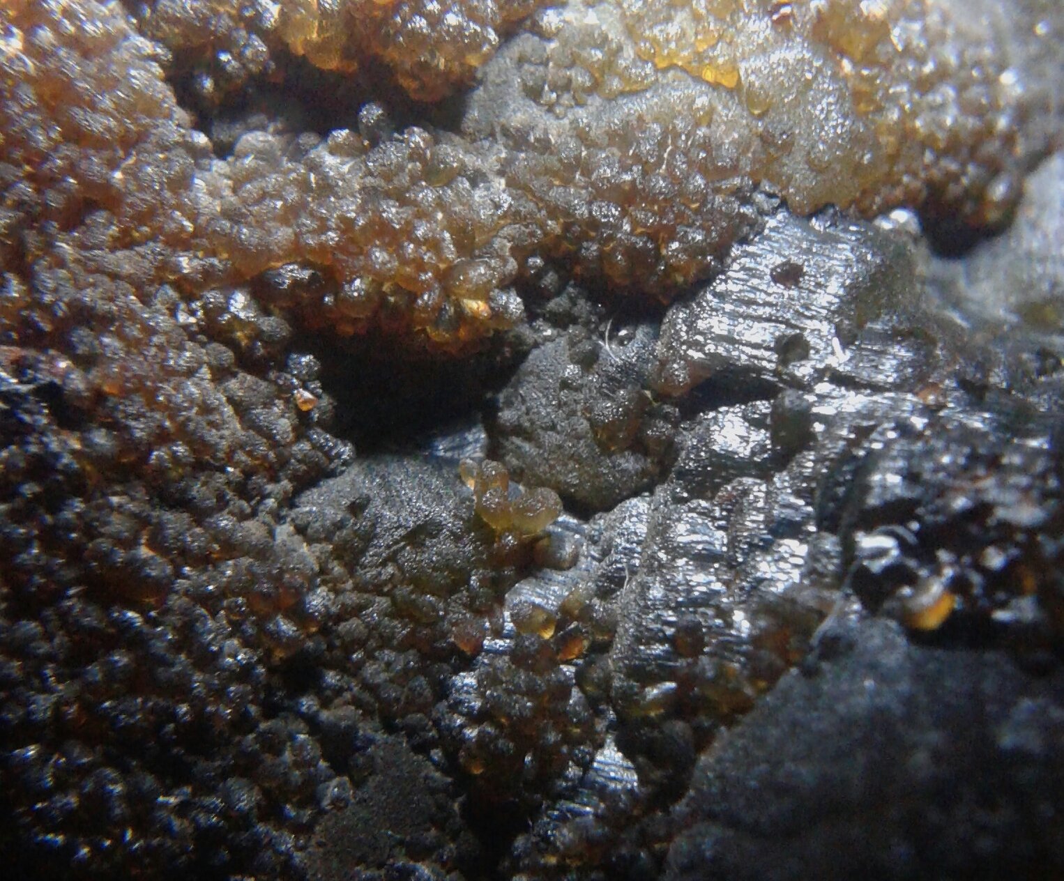Siderita
(Autor: srm13151)