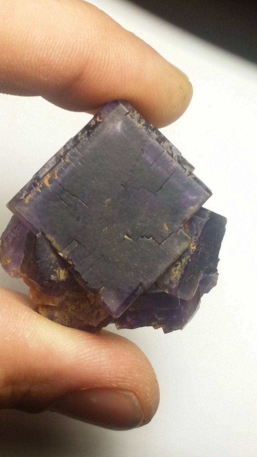 Fluorita
2.5 cm x 2.5 cm
(Autor: Iwok)