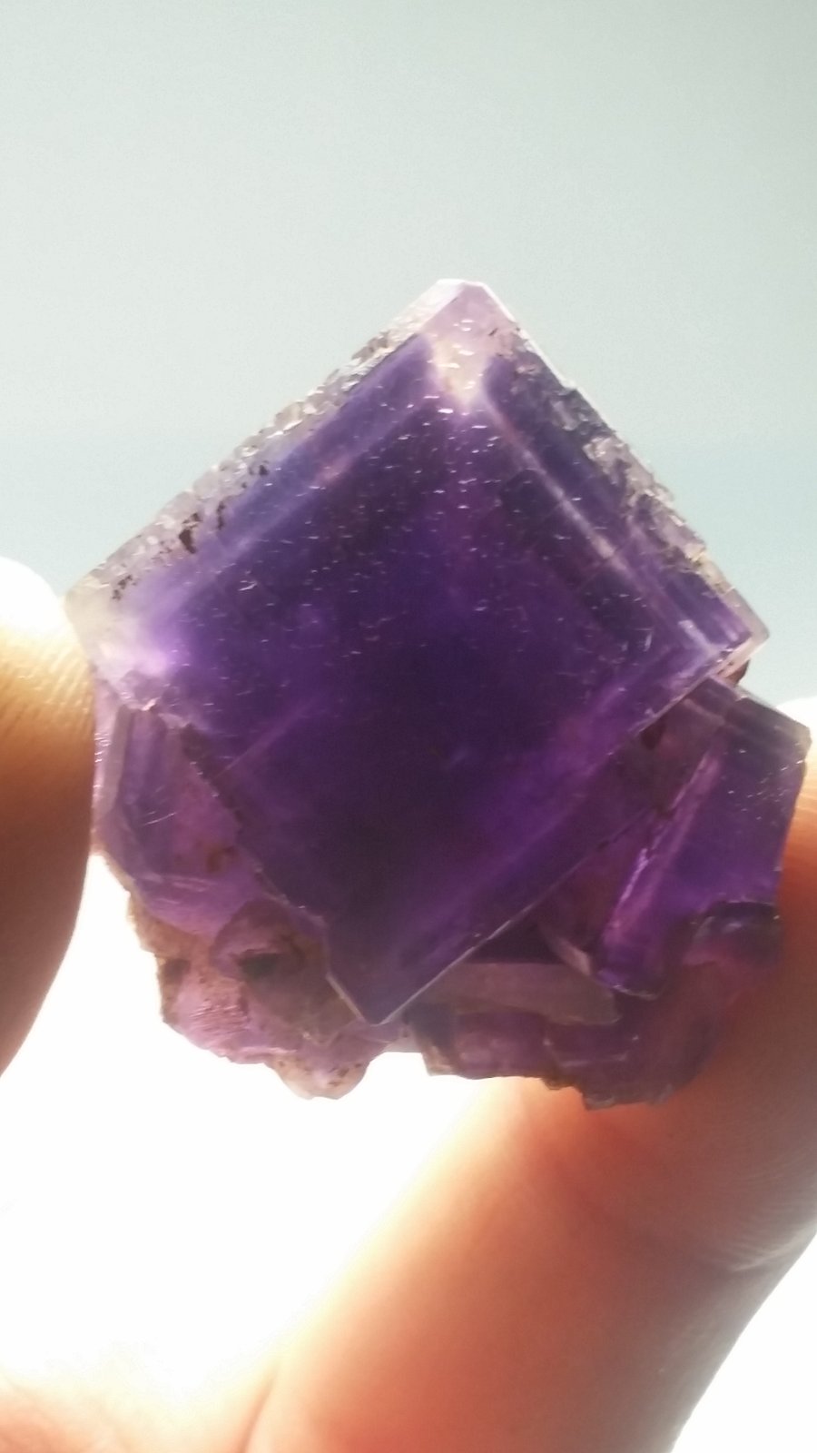 Fluorita
2.5 cm x 2.5 cm
(Autor: Iwok)