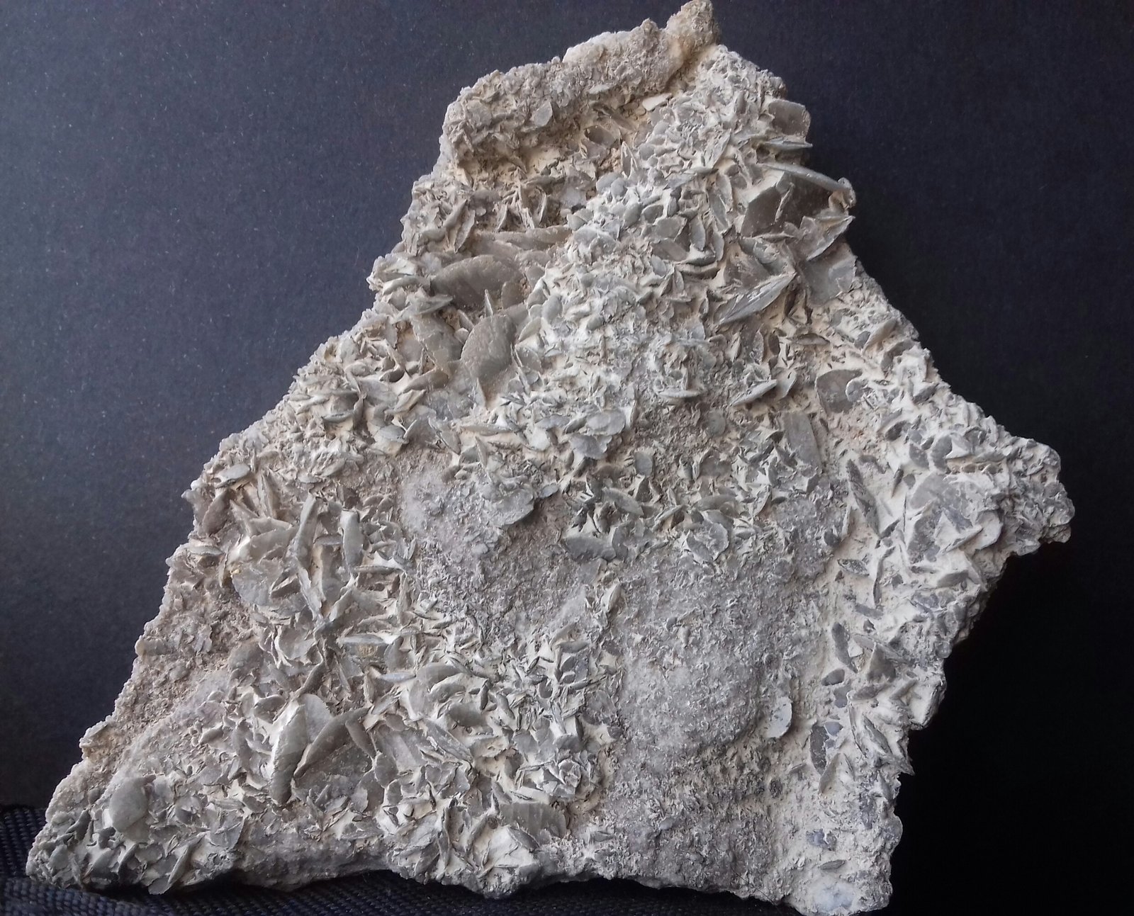 Yeso
12 cm X 8 cm
(Autor: Javi Llamazares)