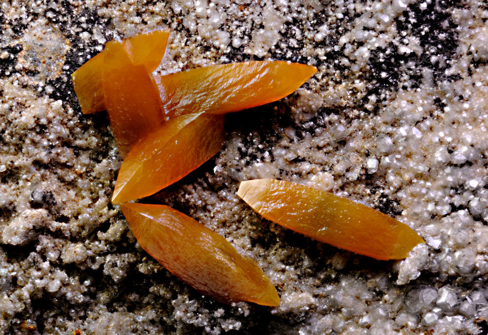 Wulfenita
FOV 6mm
(Autor: Carlos Pareja)