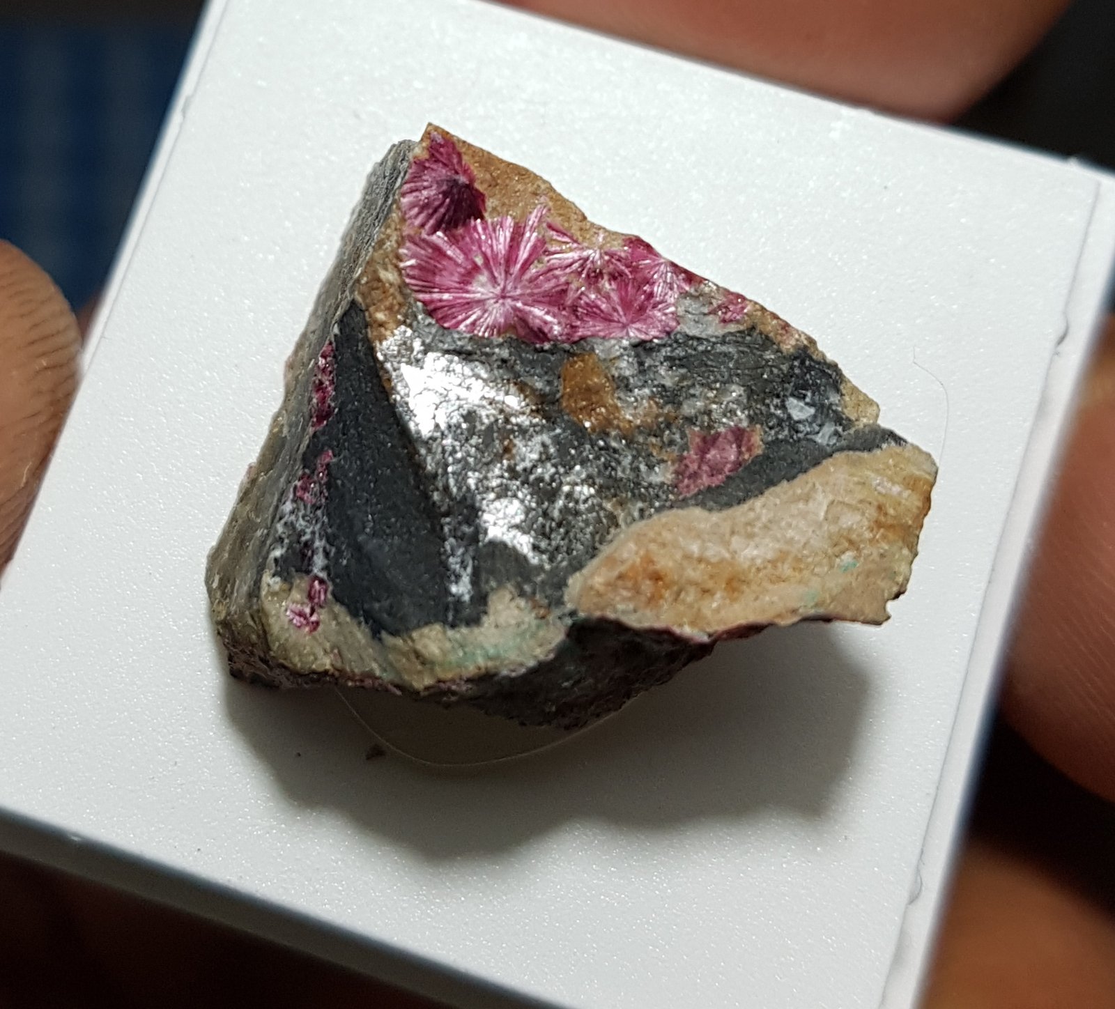 Eritrita (Eritrina)
30x25mm
(Autor: joaquin gar)