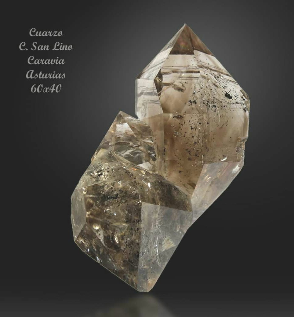 Cuarzo
60x40 mm
(Autor: joaquin gar)