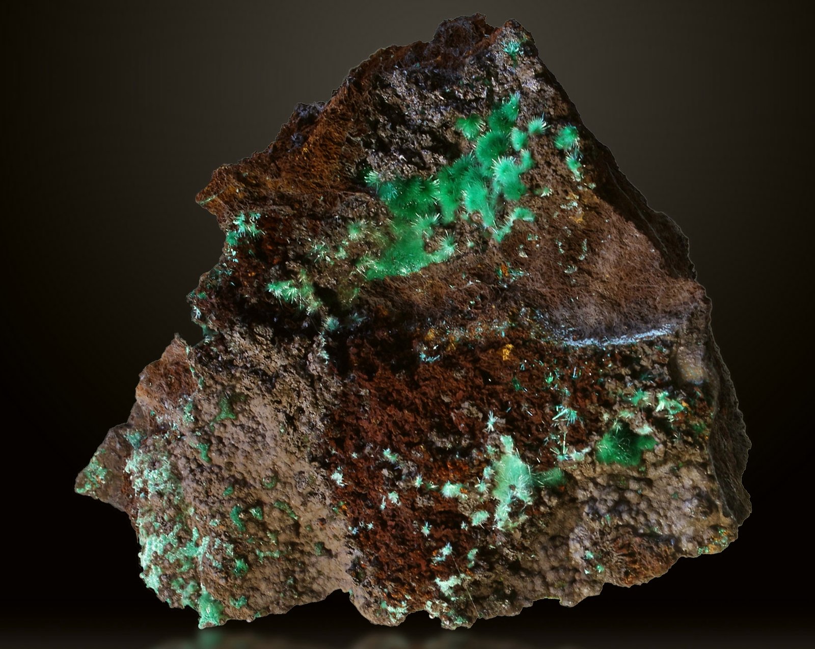 Brochantita
75x60 mm
(Autor: joaquin gar)