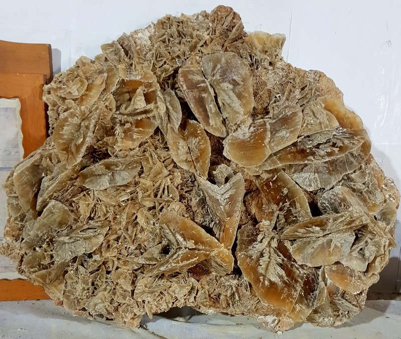 Yeso
43-37cm
(Autor: ramon ro)