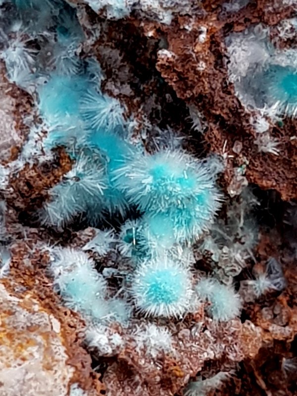 Aurichalcita (Auricalcita)
(Autor: ramon ro)