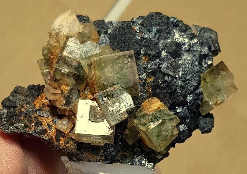 Fluorita y Esfalerita
6,5 - 4,5 cm
(Autor: ramon ro)