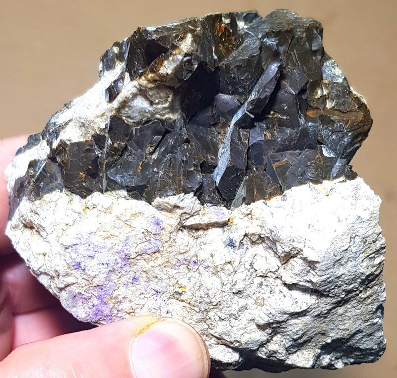 Opalo
8- 5,5cm
(Autor: ramon ro)