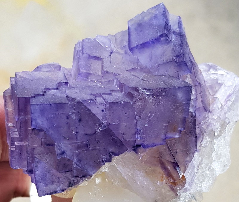 Fluorita
6,5 - 5 cm
(Autor: ramon ro)