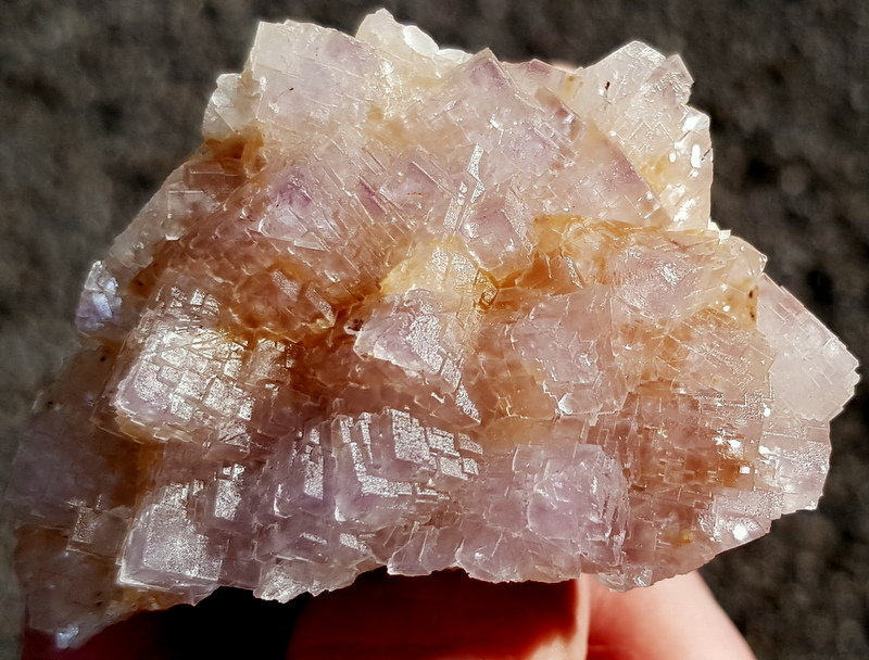 Fluorita
6,5 - 4,5 cm
(Autor: ramon ro)