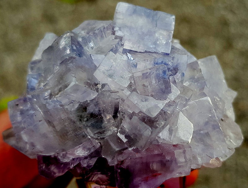 Fluorita
7 - 4,5 cm
(Autor: ramon ro)