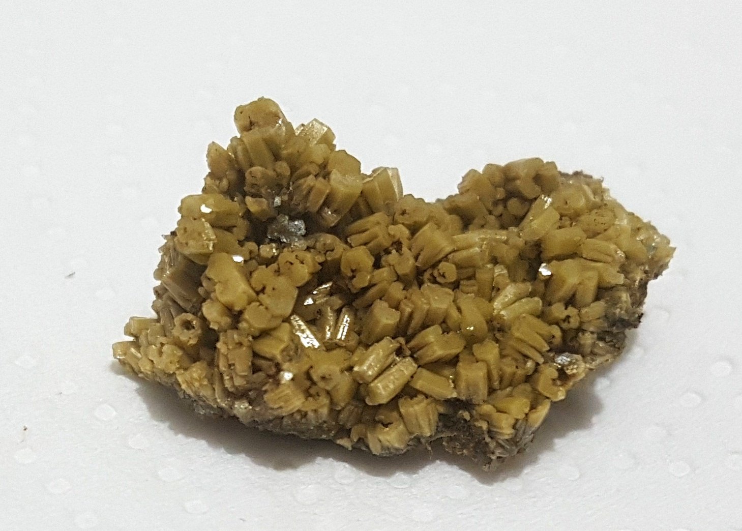 Piromorfita
30x20 mm
(Autor: joaquin gar)