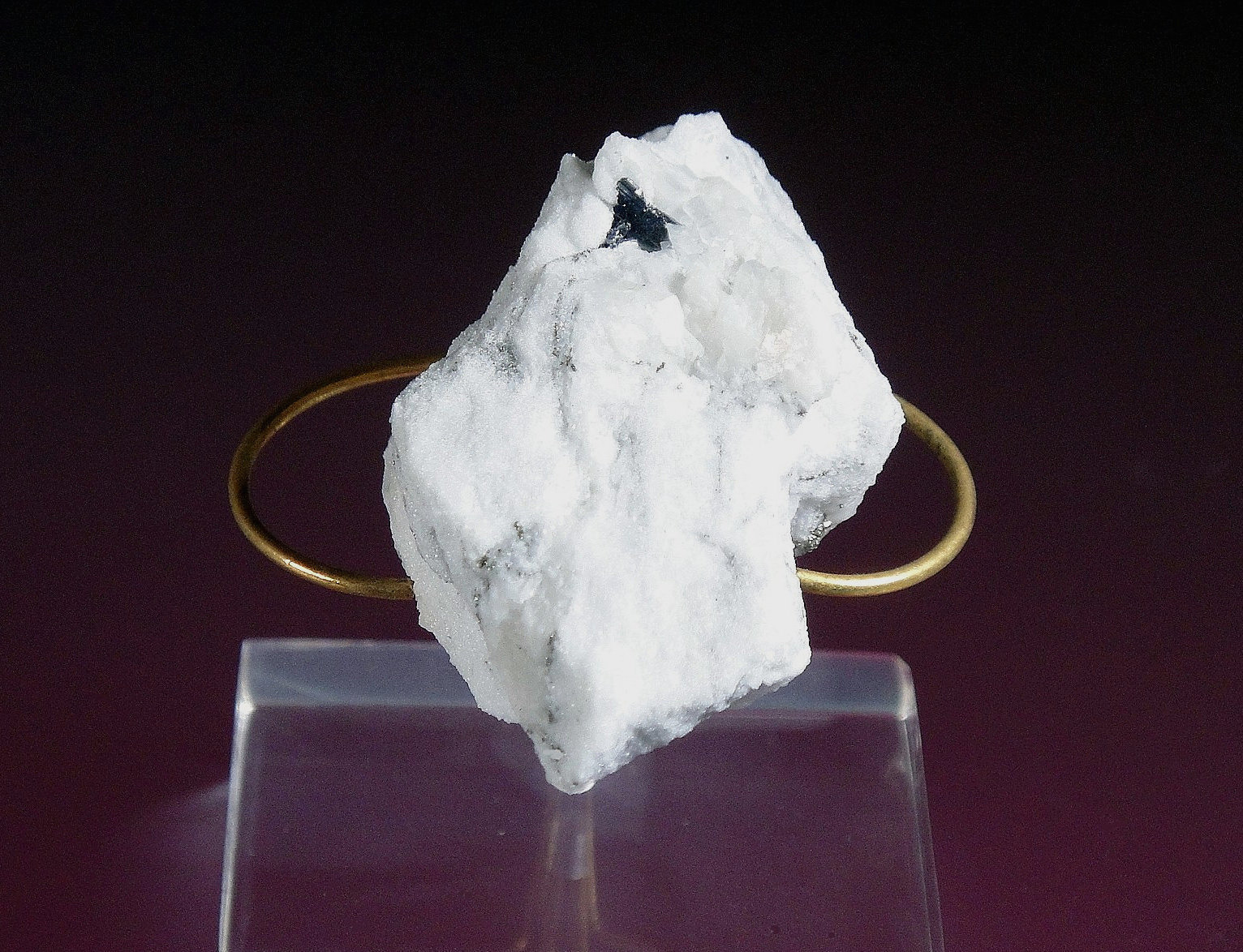 Sartorita
3 x 3 cm.
(Autor: Antonio P. López)