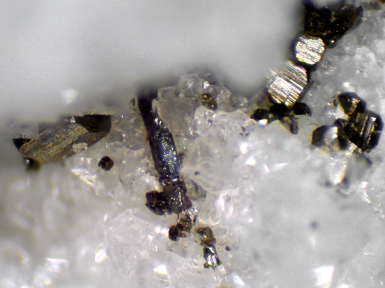 Baumhauerita, Pirita
Cantera Lengenbach, Fäld, Valle Binn (Binntal), Wallis (Valais), Suiza
Campo de visión 6 mm.
(Autor: Antonio P. López)