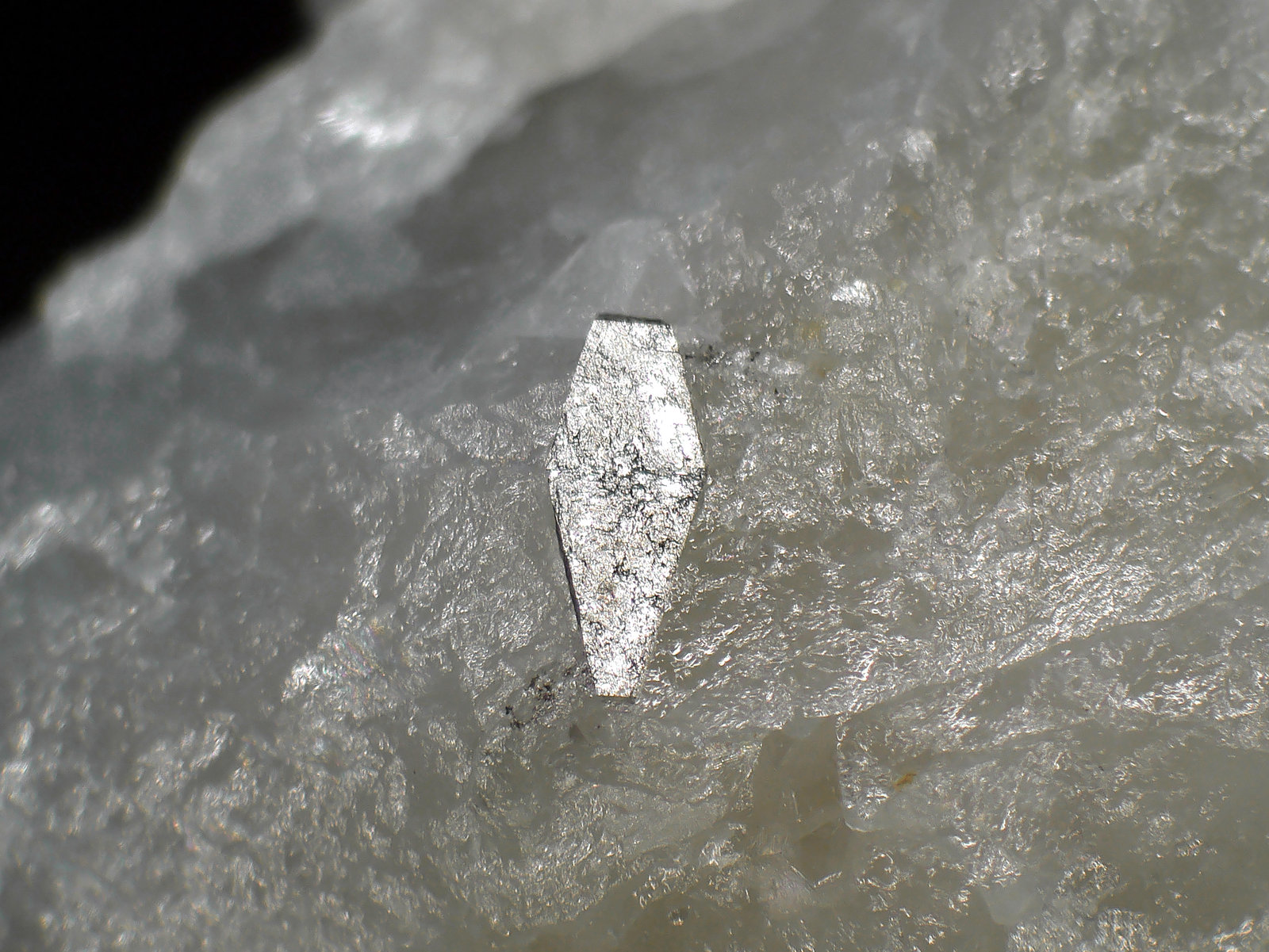 Arsenopirita, Cuarzo
Cristal de 3 mm.
(Autor: Antonio P. López)