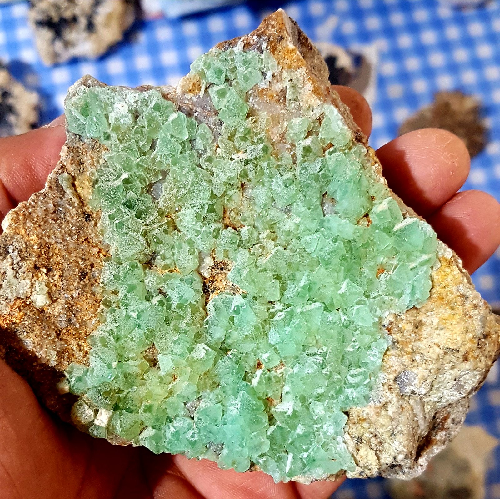 Fluorita
115x100 mm
(Autor: joaquin gar)