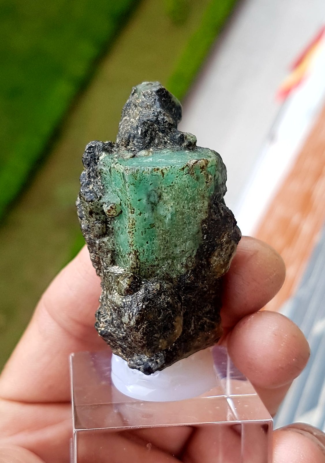 Berilo (variedad esmeralda)
65x35x30 mm
(Autor: joaquin gar)
