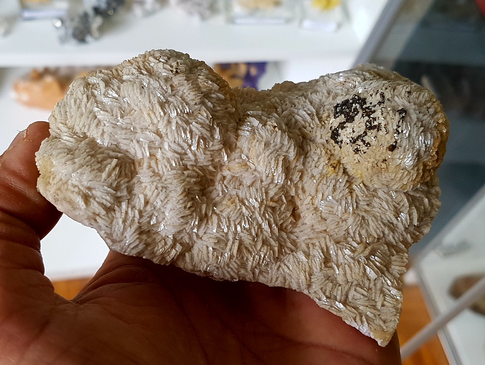 Dolomita y Pirita
120x75 mm
(Autor: joaquin gar)