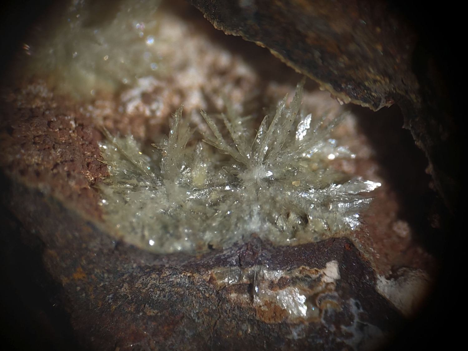 Montgomeryita
CV 4x3 mm
(Autor: Joan Niella)