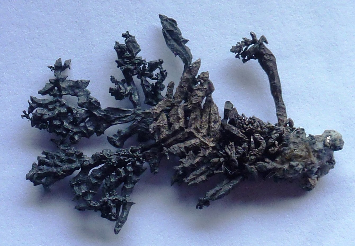 Plata nativa
4,5 x 2,5 cm.
(Autor: javier ruiz martin)