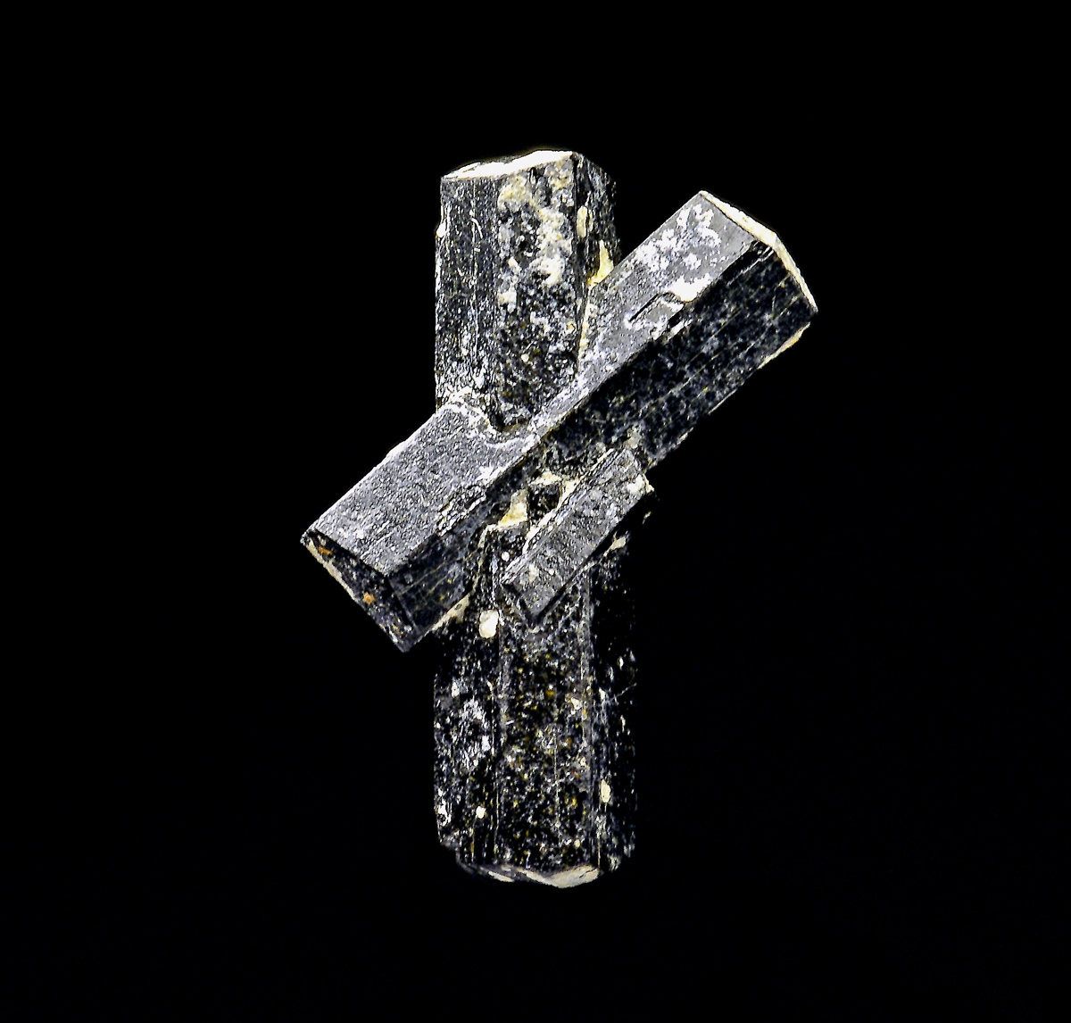 Ferro-hornblenda
19x14x6mm
(Autor: Carlos Pareja)