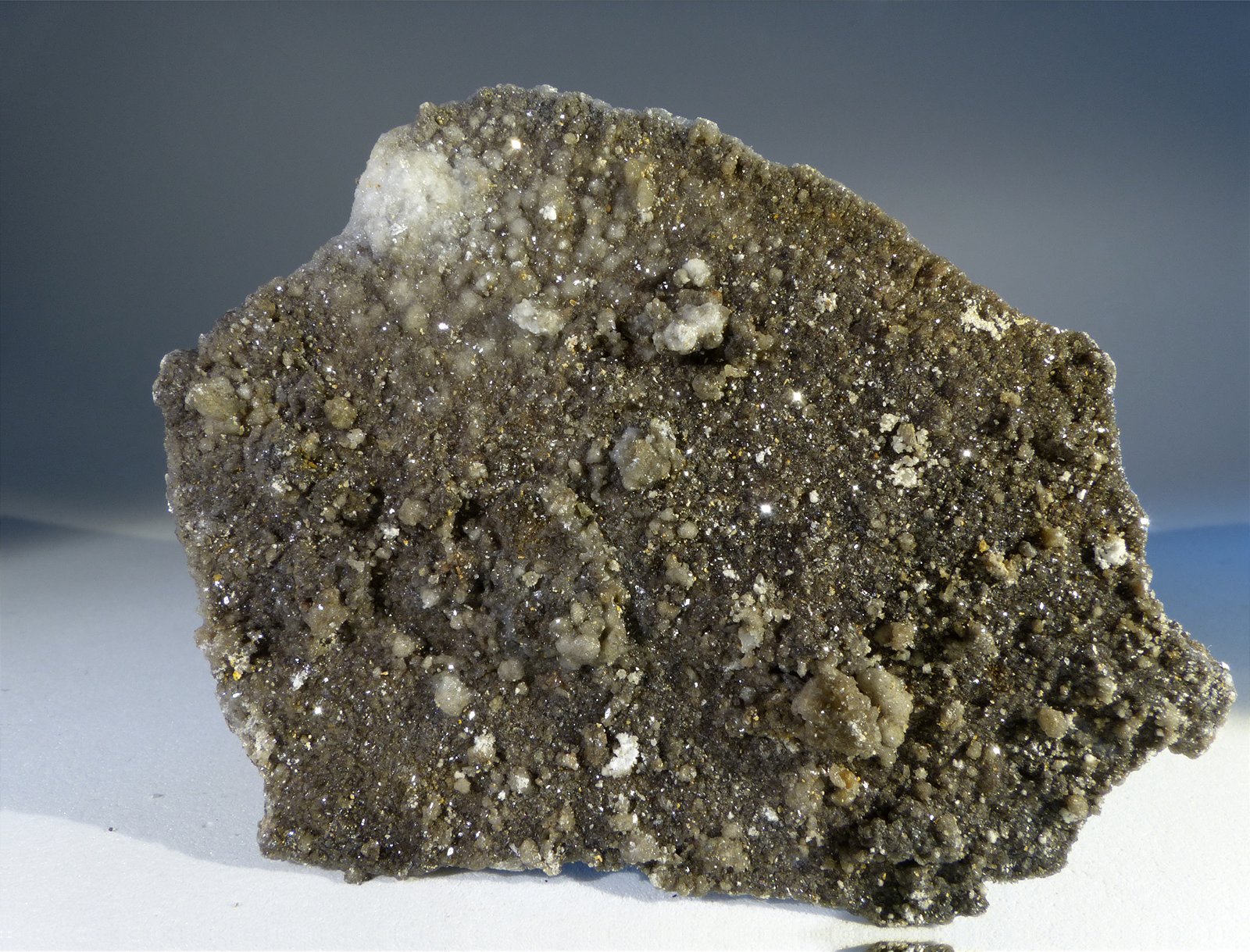 Yeso
6,5 x 5 x 0,5 cm
(Autor: Javier Rodriguez)