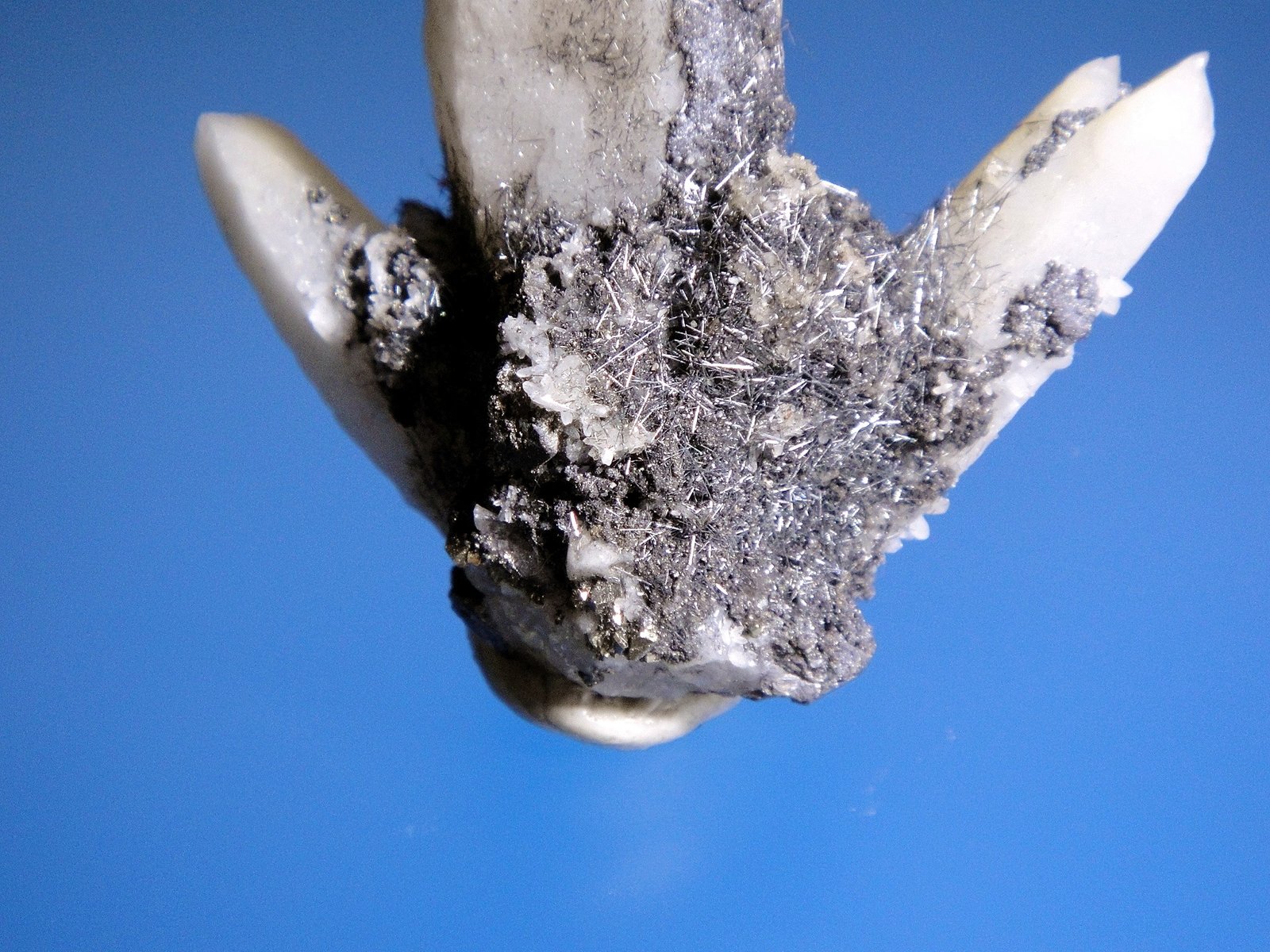 Jamesonita en Cuarzo
Cristales de <1 cm.
(Autor: Antonio P. López)