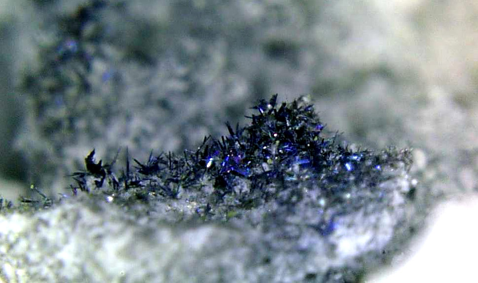 Cannizzarita
Campo de visión 5 mm.
(Autor: Antonio P. López)