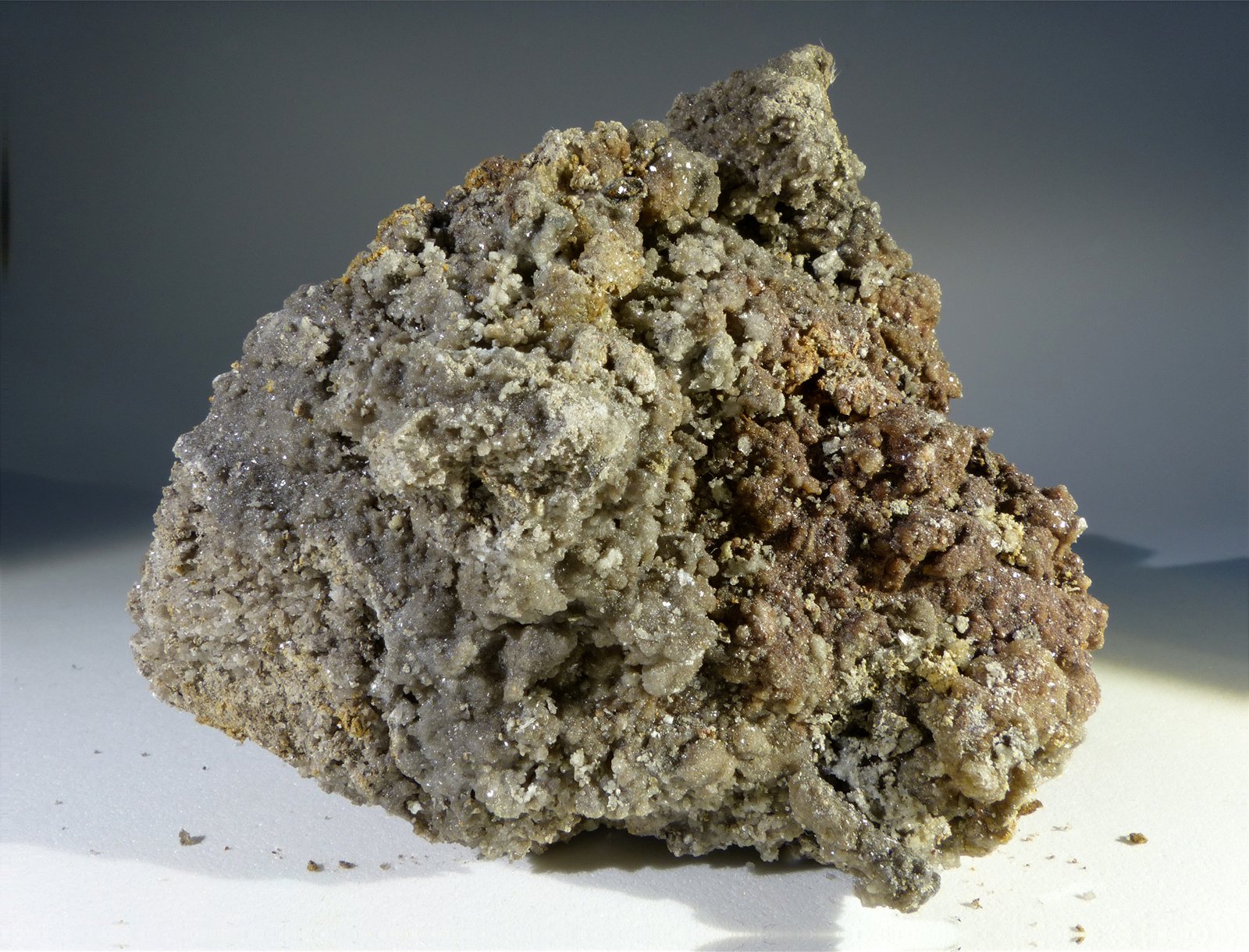 Yeso
6 x 5,5 x 3 cm
(Autor: Javier Rodriguez)