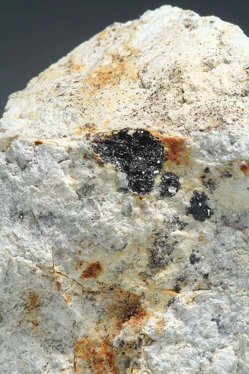 Teluronevskita
Campo de visión 2 cm.
(Autor: Antonio P. López)