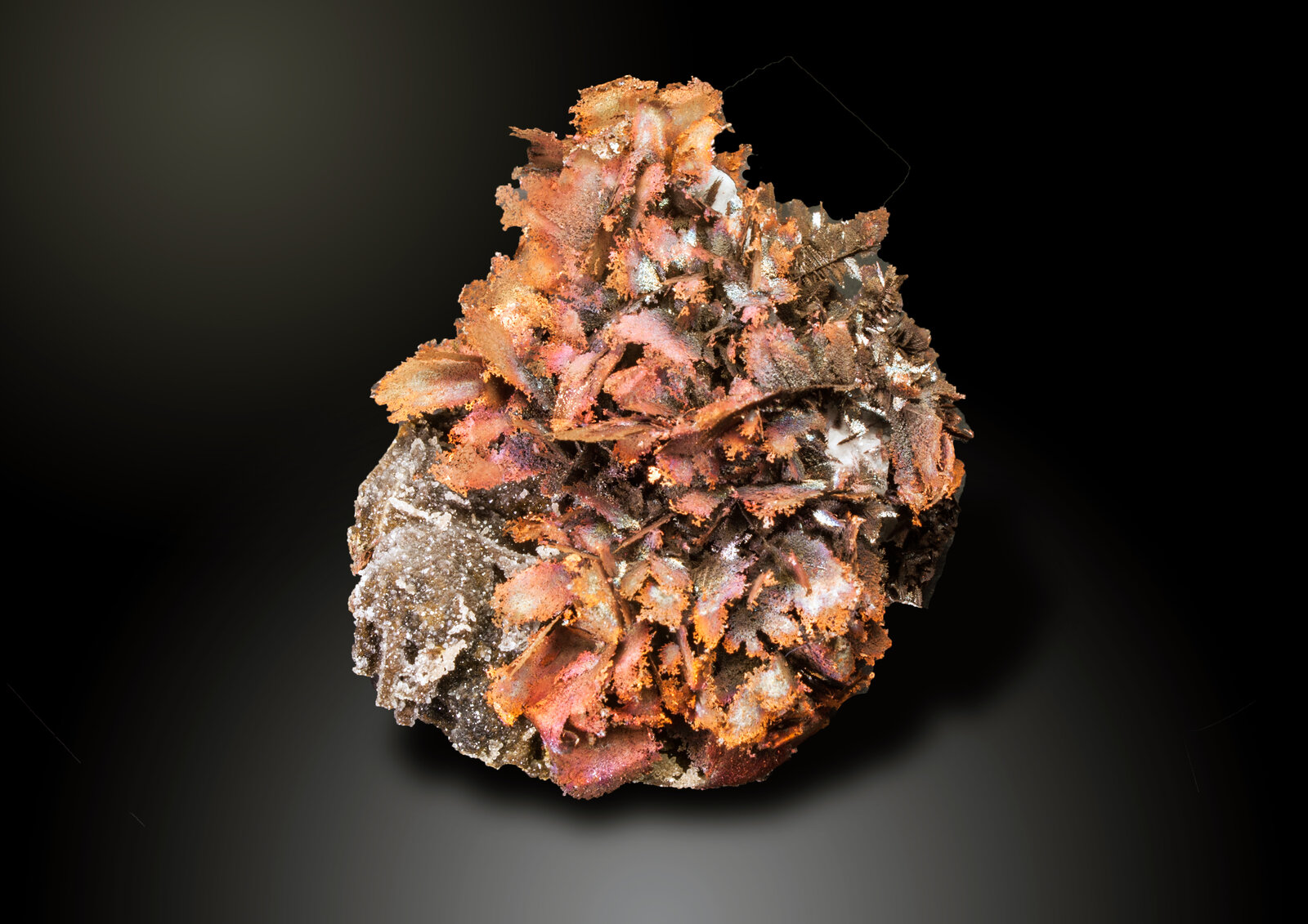 Cobre
Boinás Este, Boinás, Belmonte de Miranda, Comarca Oviedo, Principado de Asturias (Asturias), España
70 x 60 mm
(Autor: Manuel Mesa)